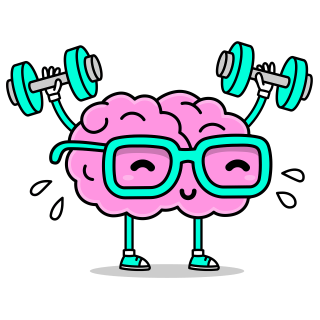 Bild Gehirn beim Training